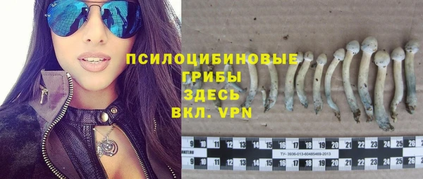 дживик Балабаново